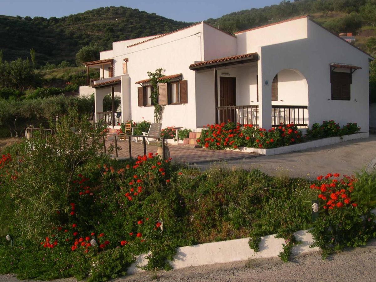 Limenaria Apartments Mochlos Værelse billede
